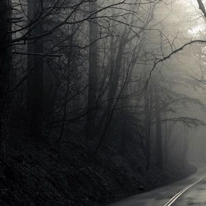 Meet your Posher, Stephen